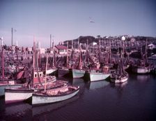 Boats in Brixham Harbour, Devon, c1955. Creator: Arthur Charles Kirby Ware