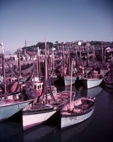 Boats in Brixham Harbour, Devon, c1955. Creator: Arthur Charles Kirby Ware