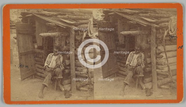 Bob and His Fiddle, 1876-1888. Creator: O. Pierre Havens.