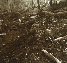 Bodies, Les Éparges, northern France, 1915