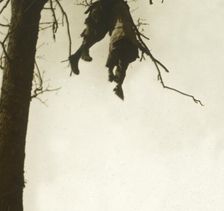 Body in tree, Bois d'Avocourt, Verdun, northern France, c1914-c1918