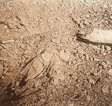 Body of dead soldier, Verdun, northern France, c1914-c1918