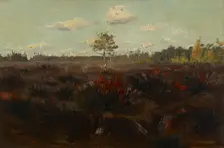 Bog in Lapland, 1892. Creator: Torsten Wasastjerna