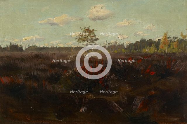Bog in Lapland, 1892. Creator: Torsten Wasastjerna.