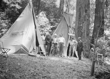 Bohemian Club Grove scene, between 1896 and 1911. Creator: Arnold Genthe