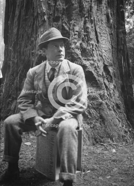 Bohemian Club Grove scene, between 1896 and 1942. Creator: Arnold Genthe.