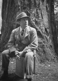 Bohemian Club Grove scene, between 1896 and 1942. Creator: Arnold Genthe