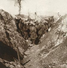 Bois de la Grille before attack, northern France, c1914-c1918