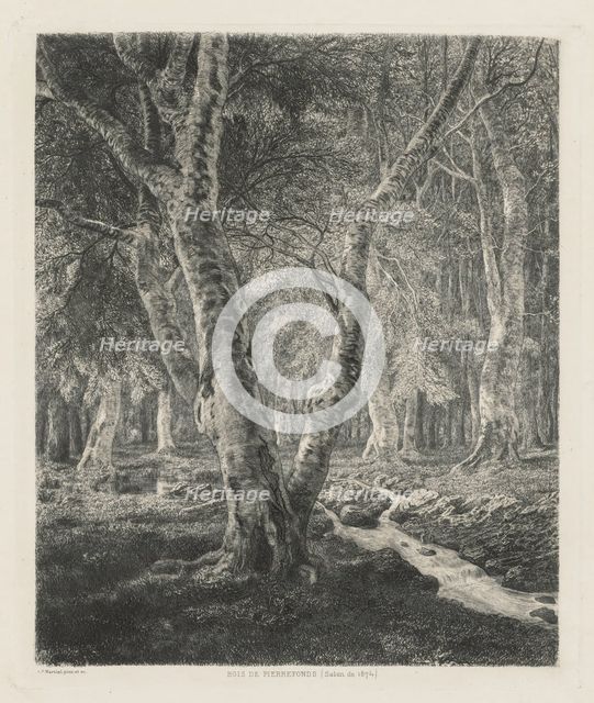 Bois de Pierrefonds, 1874. Creator: Adolphe Théodore Jules Martial Potémont (French, 1828-1883).