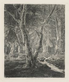 Bois de Pierrefonds, 1874. Creator: Adolphe Théodore Jules Martial Potémont (French, 1828-1883)
