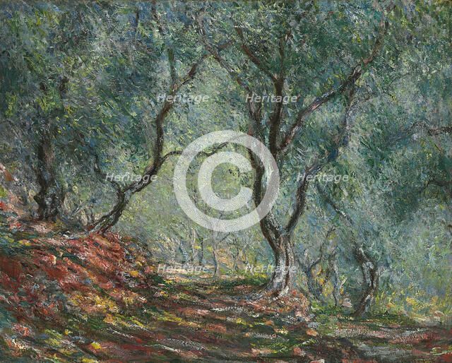 Bois d'oliviers au jardin Moreno, 1884. Artist: Monet, Claude (1840-1926)