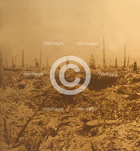 Bois du Chapitre, Vaux, northern France, c1914-c1918. Artist: Unknown.