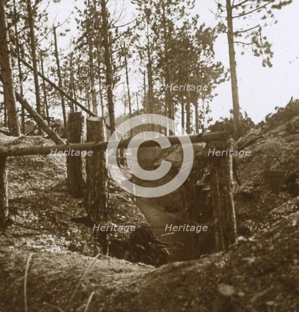 Bois-le-Prêtre, northern France, c1914-c1915. Artist: Unknown.