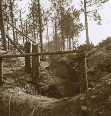 Bois-le-Prêtre, northern France, c1914-c1915