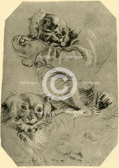 'Bologna Dogs', 1751-1752, (1928). Artist: Giovanni Battista Tiepolo.