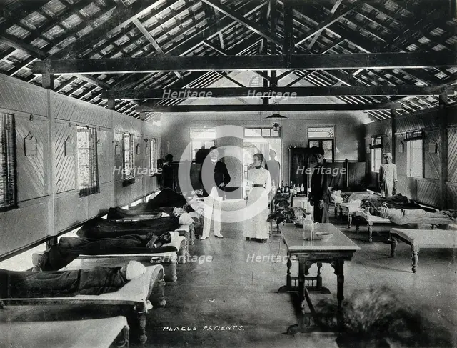 Bombay plague epidemic, 1896-1897: interior of a plague hospital, 1896/1897. Creator: Clifton & Co.