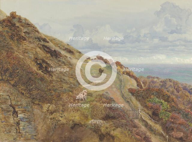 Bonchurch Downs, 1865. Creator: John Brett.