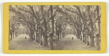 Bonaventure, 1860/80. Creator: J. N. Wilson