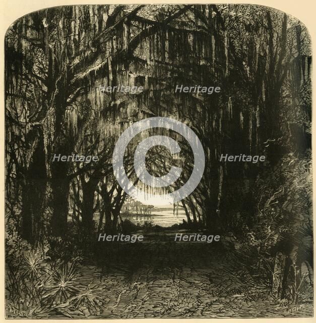 'Bonaventure Cemetery', 1872.  Creator: John Filmer.