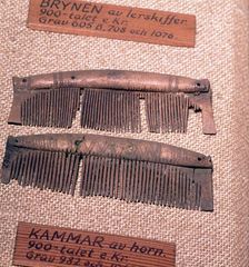 Bone comes from Graves of the Viking Period, Sweden, 8th- mid-11th century