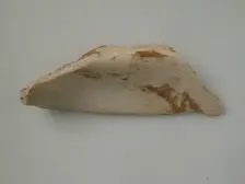 Bone, Coptic, 4th-7th century. Creator: Unknown