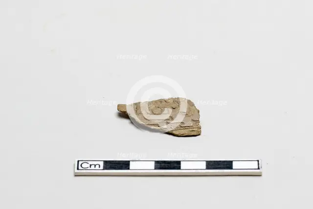 Bone, decorated fragment, Shang dynasty, ca. 1600 - ca. 1050 BCE. Creator: Unknown.
