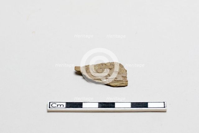 Bone, decorated fragment, Shang dynasty, ca. 1600 - ca. 1050 BCE. Creator: Unknown.