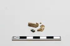Bone fragments, Shang dynasty, ca. 1600 - ca. 1050 BCE. Creator: Unknown