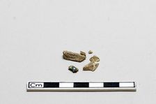 Bone fragments, Shang dynasty, ca. 1600 - ca. 1050 BCE. Creator: Unknown