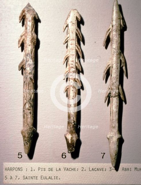 Bone Harpoons for fishing, Dordogne region, France, Paleolithic Period, (c20th century). Artist: Unknown.