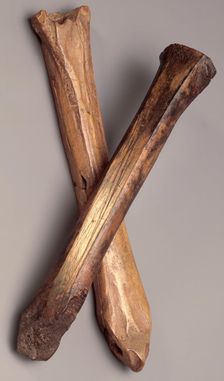 Bone skates, (12th century?). Creator: Unknown