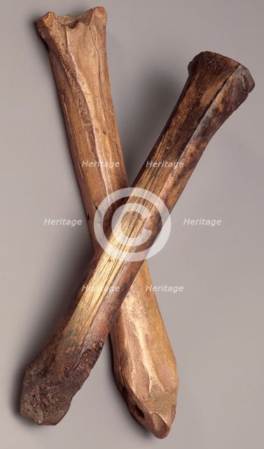 Bone skates, (12th century?). Creator: Unknown.