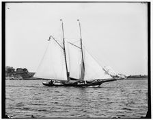 Bonita, between 1880 and 1899. Creator: Unknown