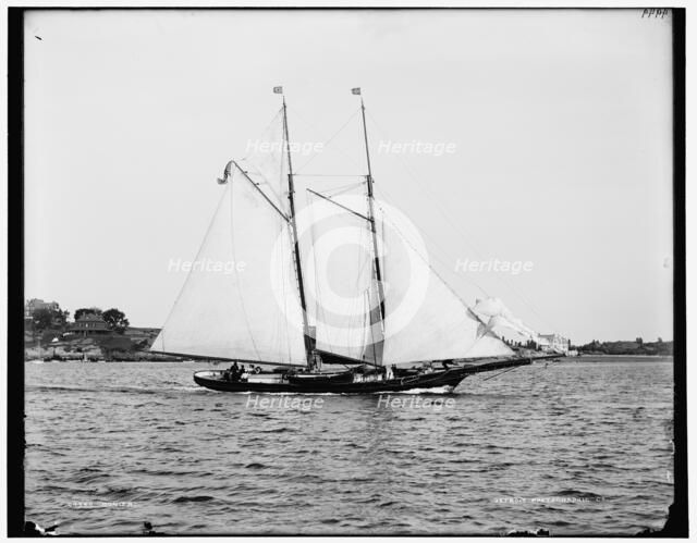 Bonita, between 1880 and 1899. Creator: Unknown.