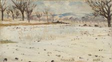 Bonn am Rhein. Winter Landscape. Creator: Helmer Osslund