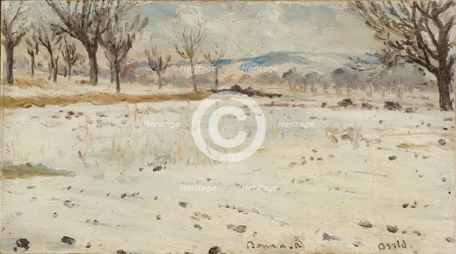 Bonn am Rhein. Winter Landscape. Creator: Helmer Osslund.