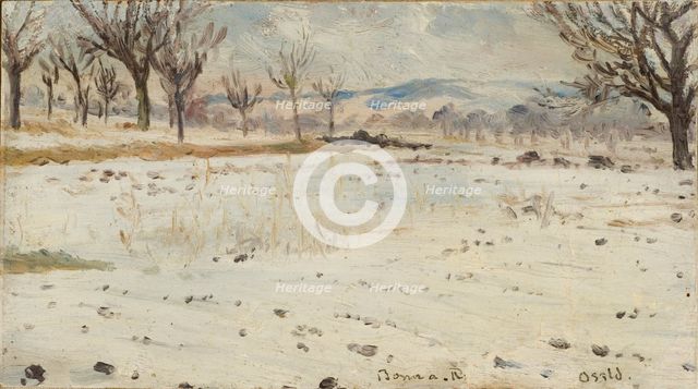 Bonn am Rhein. Winter Landscape. Creator: Helmer Osslund.