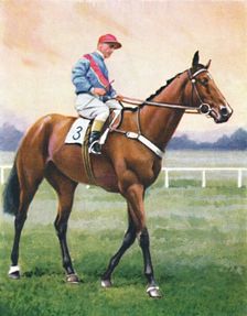 Bookseller, Jockey: G. Richards 1939