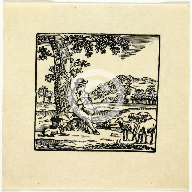 Book Illustration, n.d. Creator: Thomas Bewick.