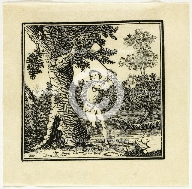 Book Illustration, n.d. Creator: Thomas Bewick.