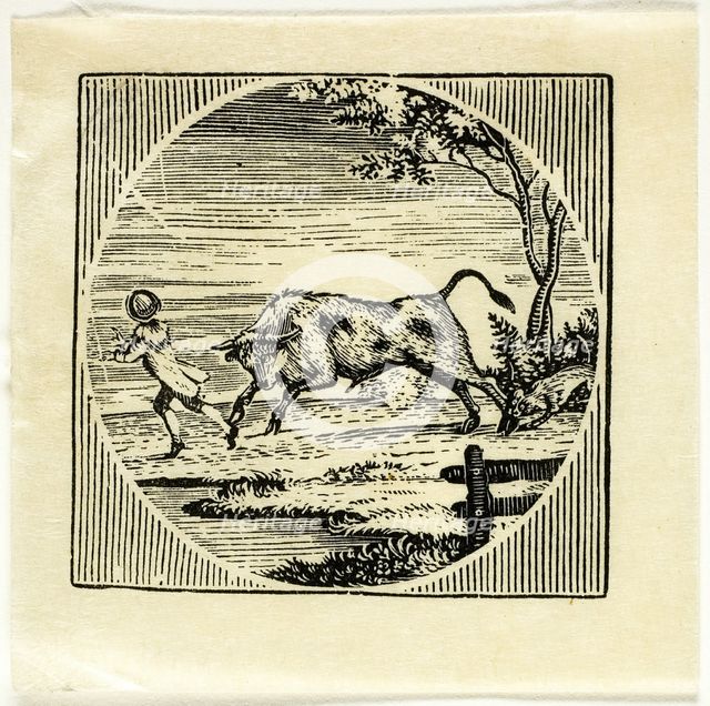 Book Illustration, n.d. Creator: Thomas Bewick.