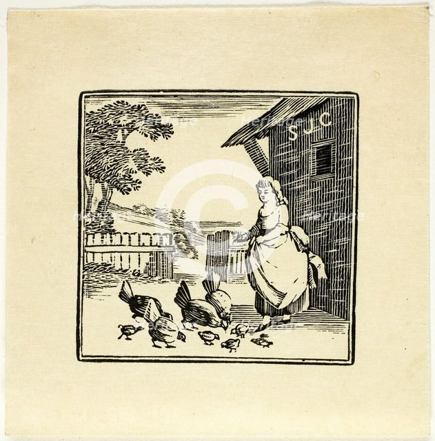 Book Illustration, n.d. Creator: Thomas Bewick.