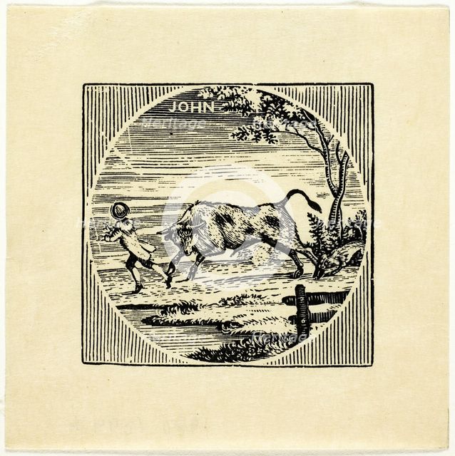 Book Illustration, n.d. Creator: Thomas Bewick.
