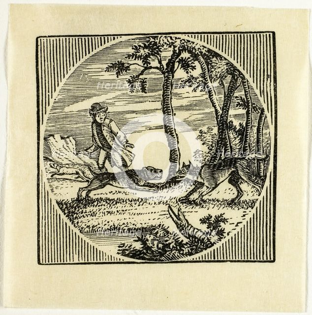 Book Illustration, n.d. Creator: Thomas Bewick.