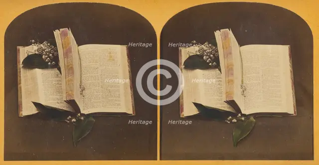 Book opened at two spots, one with book mark string, the other with flowers, about 1870-1880. Creator: Unknown.