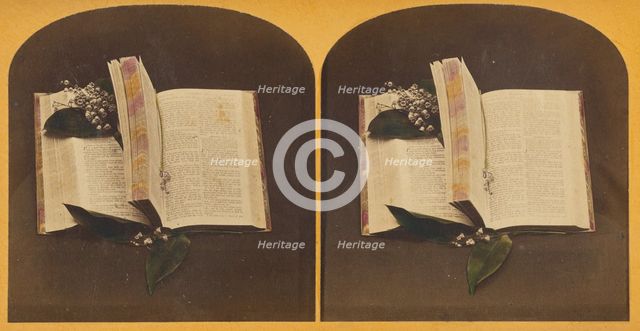 Book opened at two spots, one with book mark string, the other with flowers, about 1870-1880. Creator: Unknown.