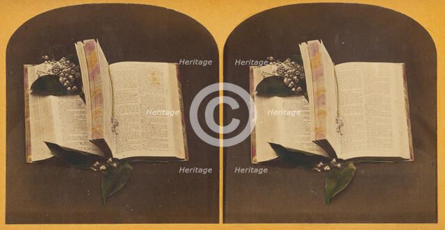 Book opened at two spots, one with book mark string, the other with flowers, about 1870-1880. Creator: Unknown.