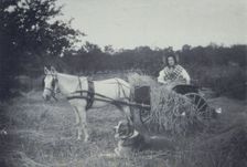 Boon companions, c1900. Creator: Unknown