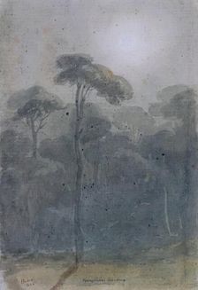 Borghese Gardens, 1825. Creator: James William Giles