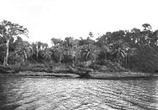 'Bords du Comoe; L'Ouest Africain 1914. Creator: Unknown